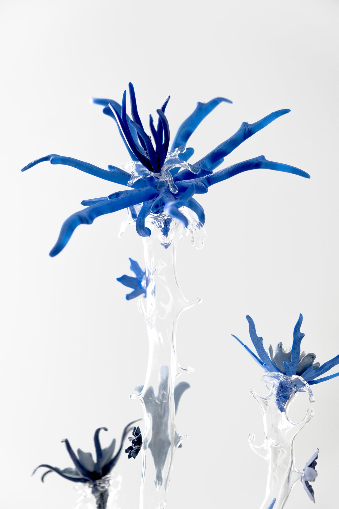 Affin Sp. 001 - Sculpture - Lejeune, Sohn, Schweers