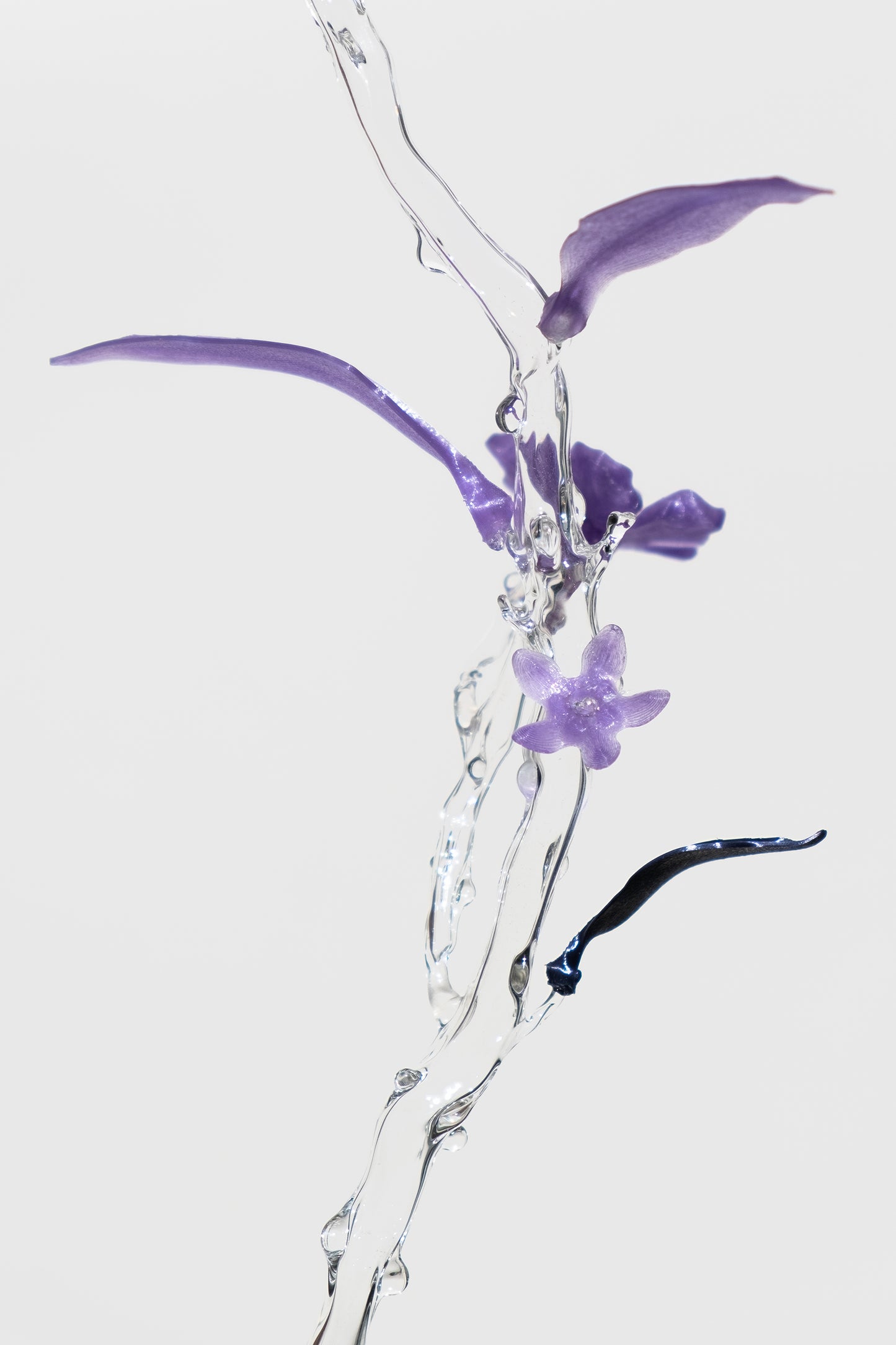 Unearthed Sp. 006 flower sculpture - Lejeune, Sohn, Schweers