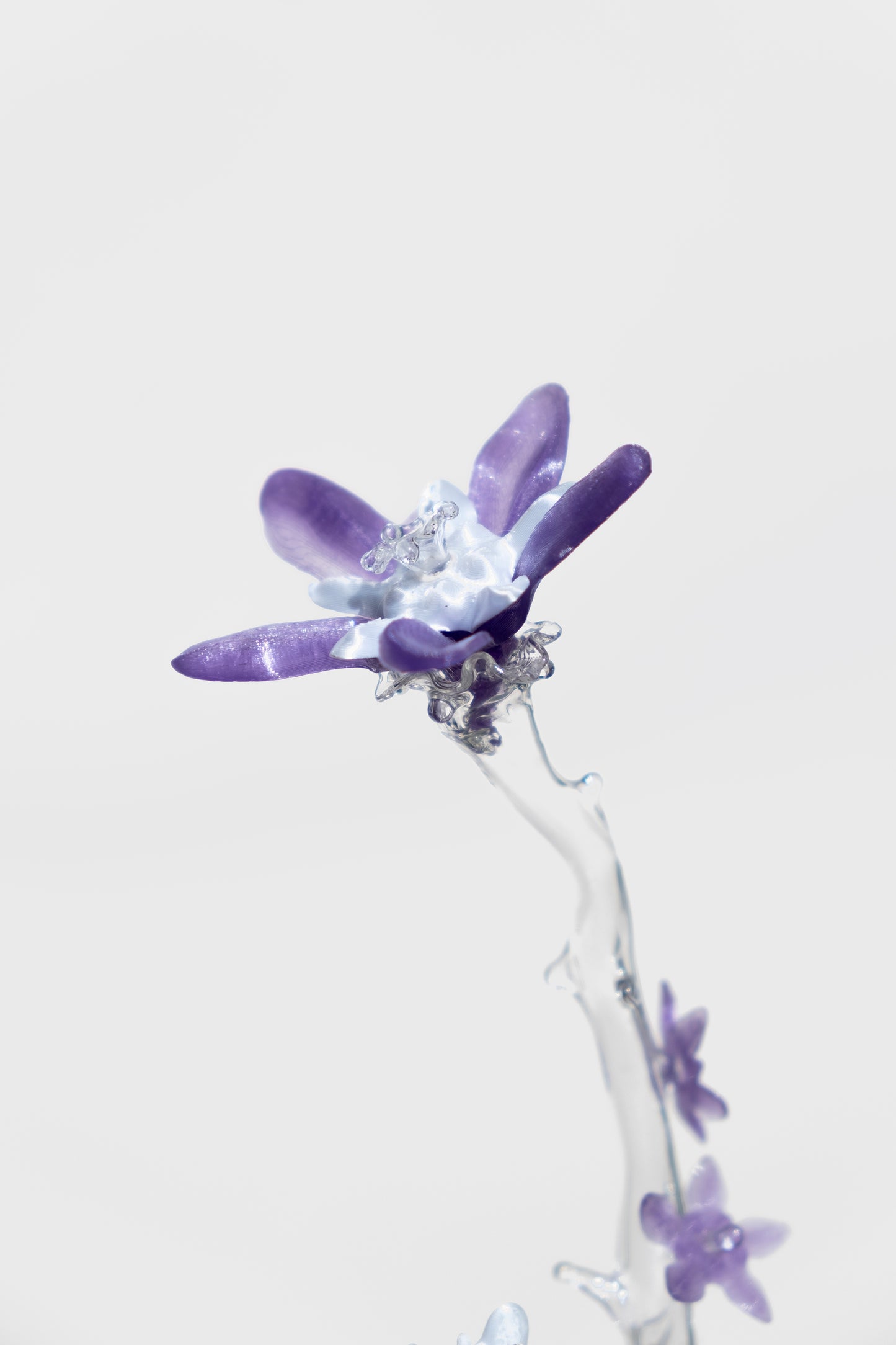 Unearthed Sp. 009 flower sculpture - Lejeune, Sohn, Schweers
