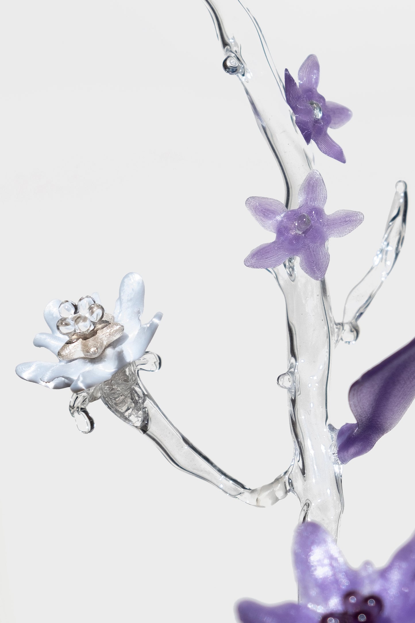 Unearthed Sp. 009 flower sculpture - Lejeune, Sohn, Schweers