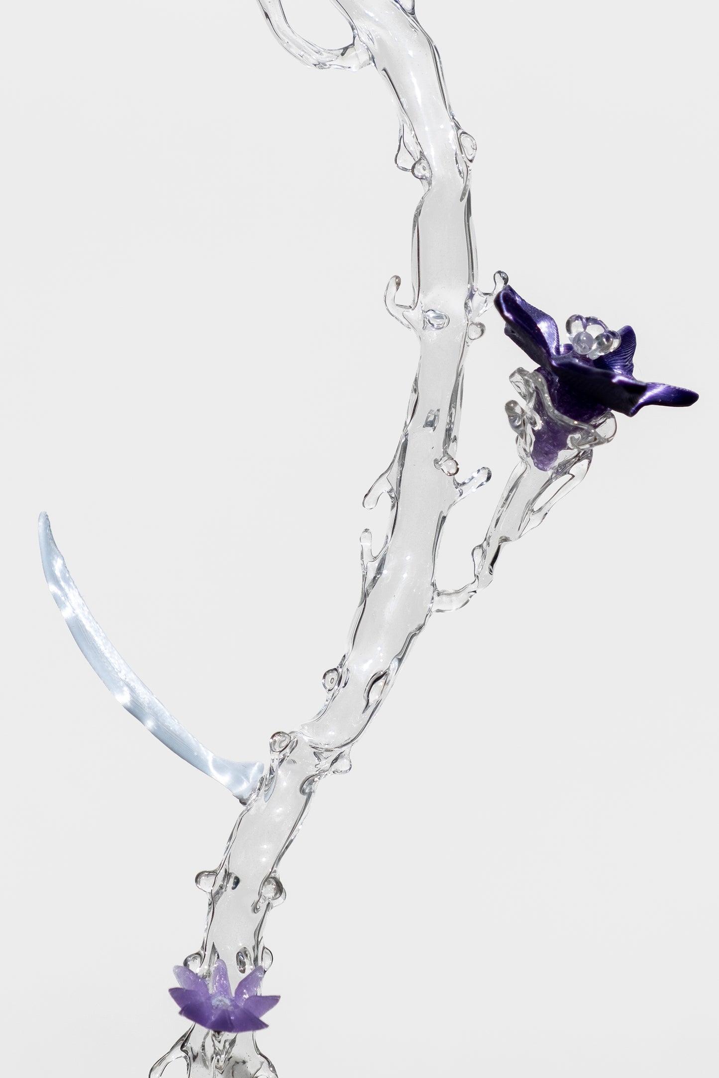 Clara_Schweers_unearthed_SP10_flower1