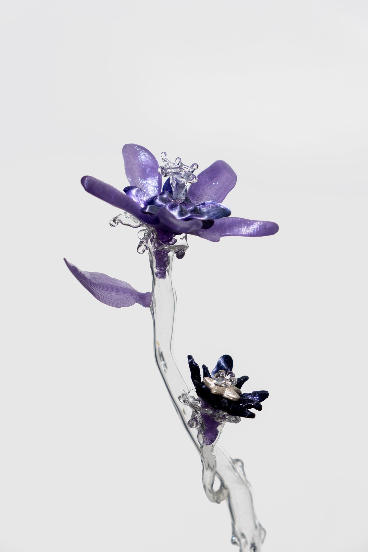 Clara_Schweers_unearthed_SP10_flower2