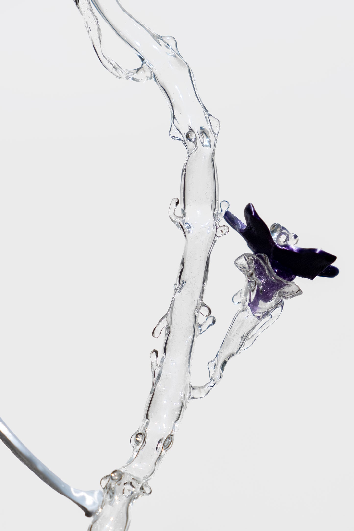 Clara_Schweers_unearthed_SP10_flower3