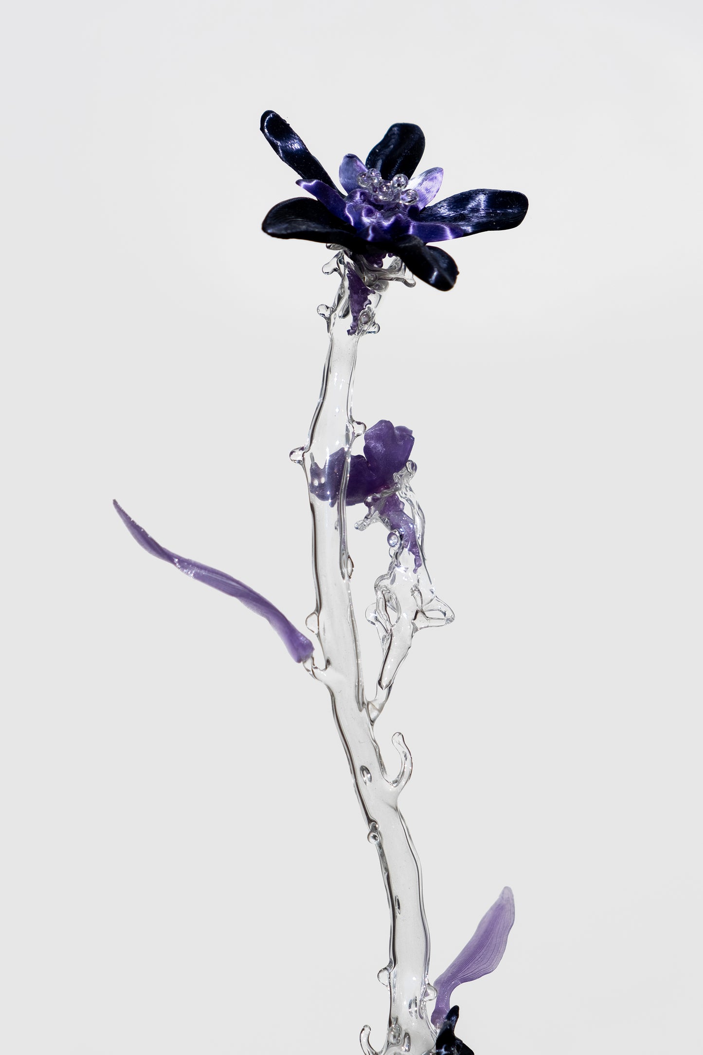 Unearthed Sp. 011 flower sculpture -Lejeune, Sohn, Schweers