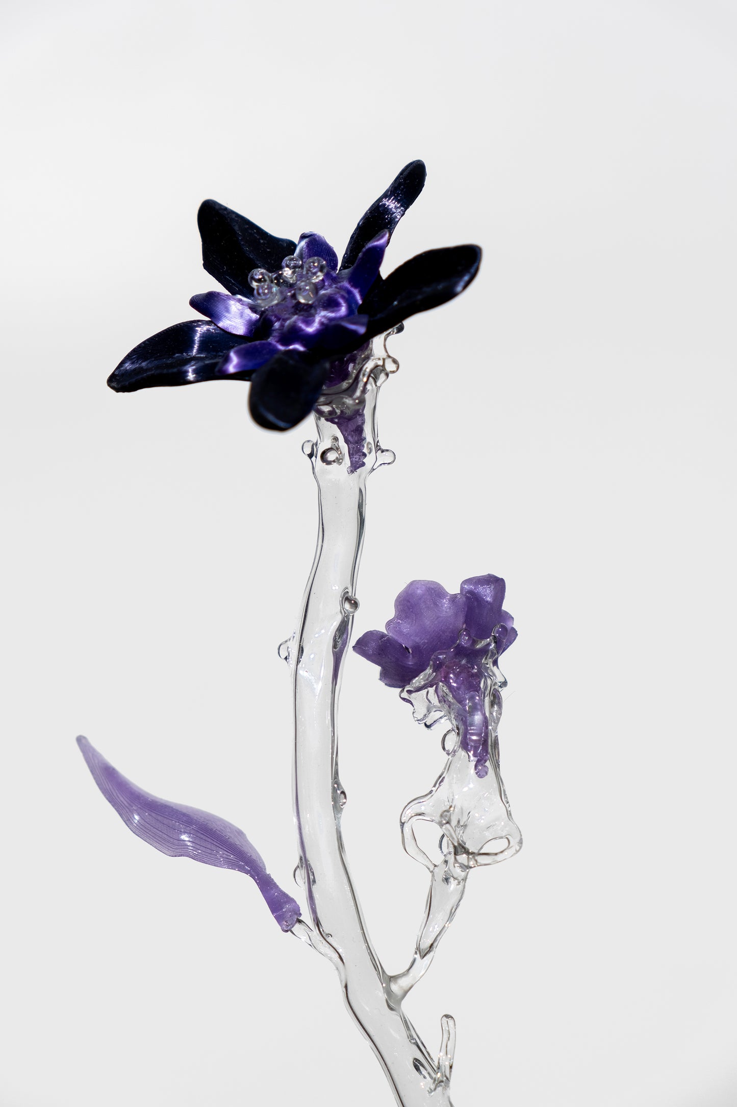 Unearthed Sp. 011 flower sculpture -Lejeune, Sohn, Schweers