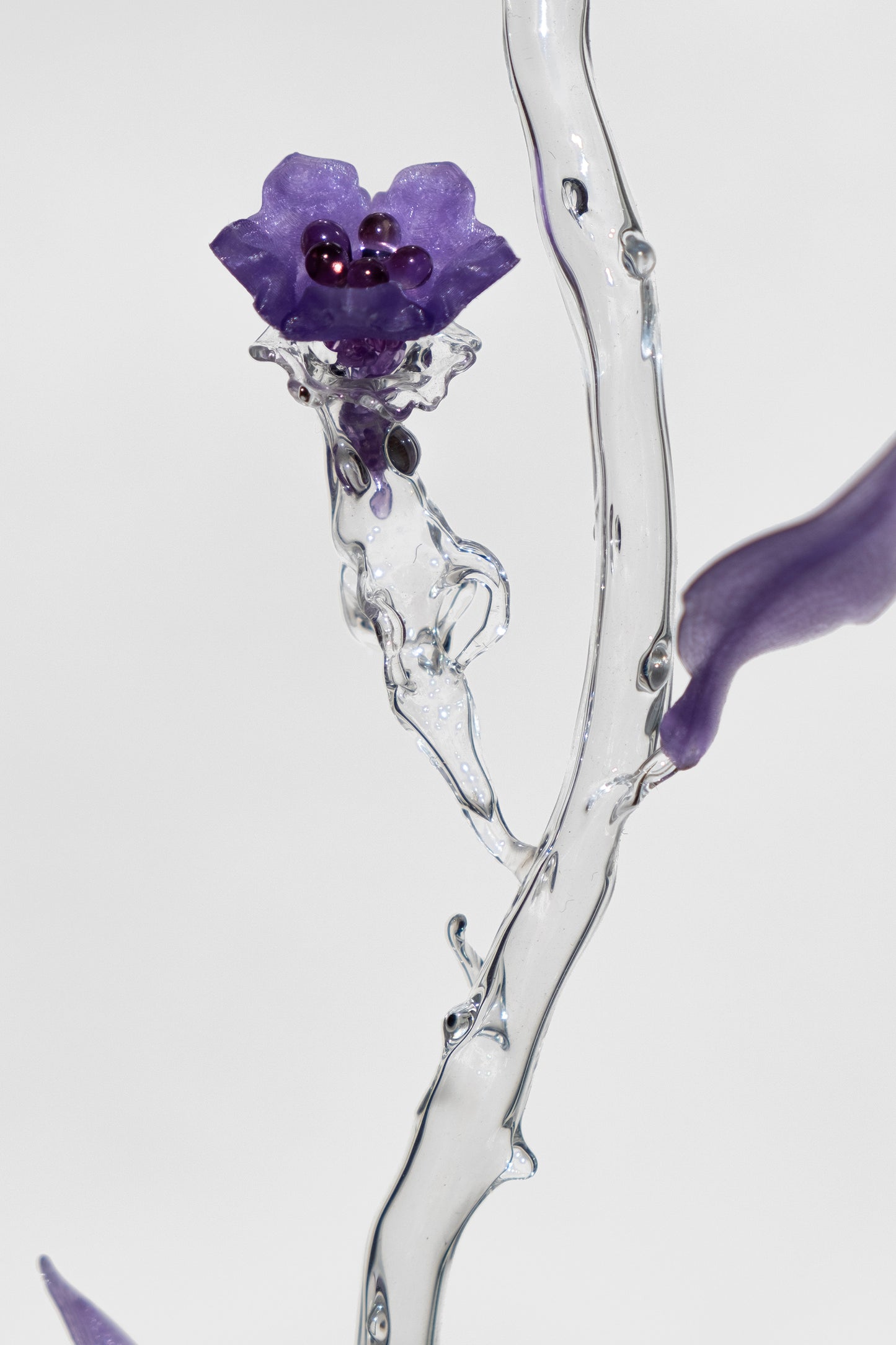 Unearthed Sp. 011 flower sculpture -Lejeune, Sohn, Schweers