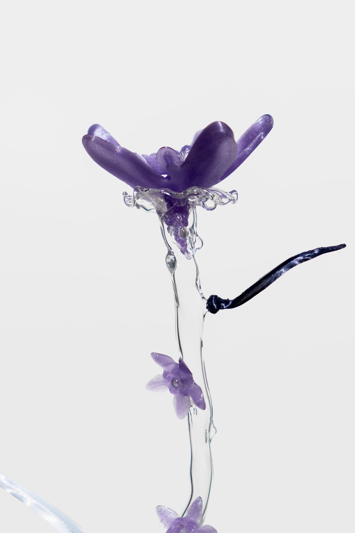 Unearthed Sp. 012 flower sculpture - Lejeune, Sohn, Schweers