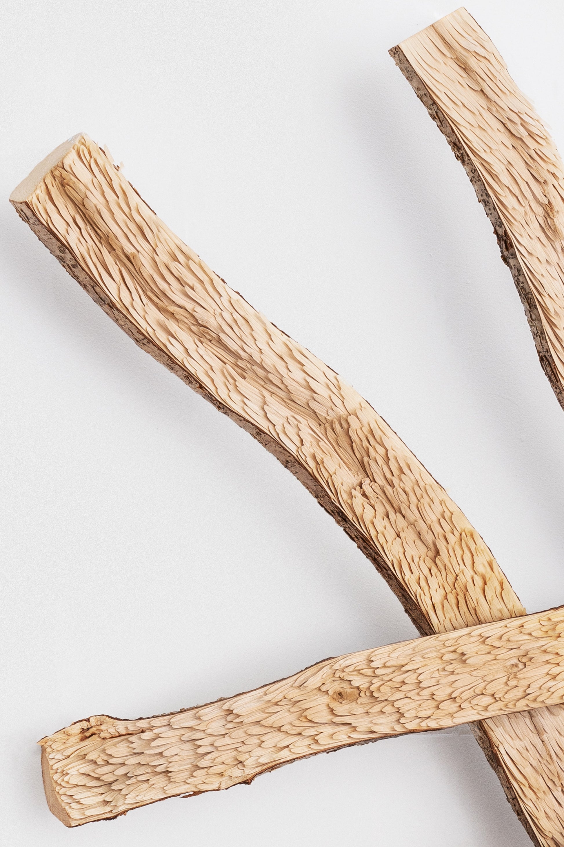 Feather Branch II sculpture - Didi NG Wing Yin