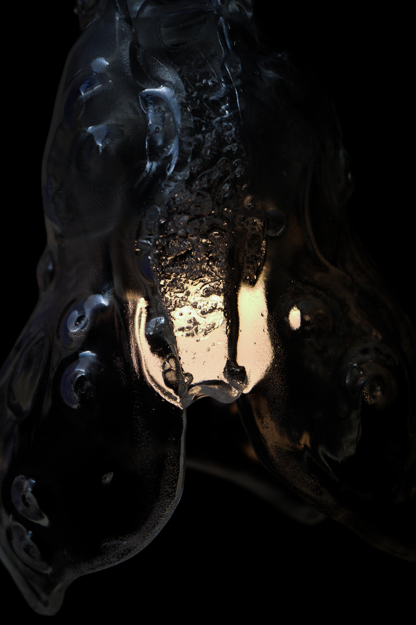 HL_02