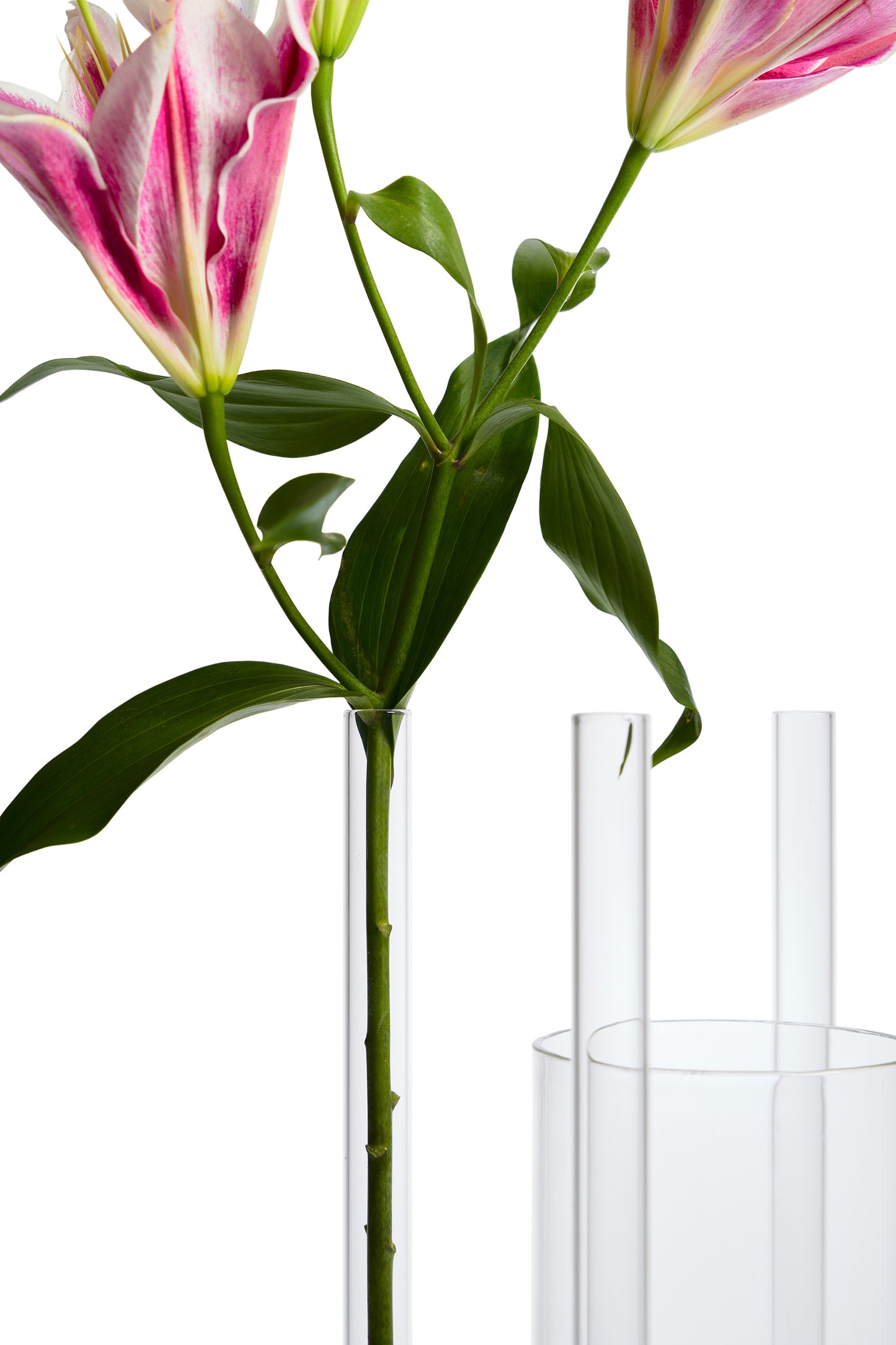 Vessel n.1 vase -The Back Studio