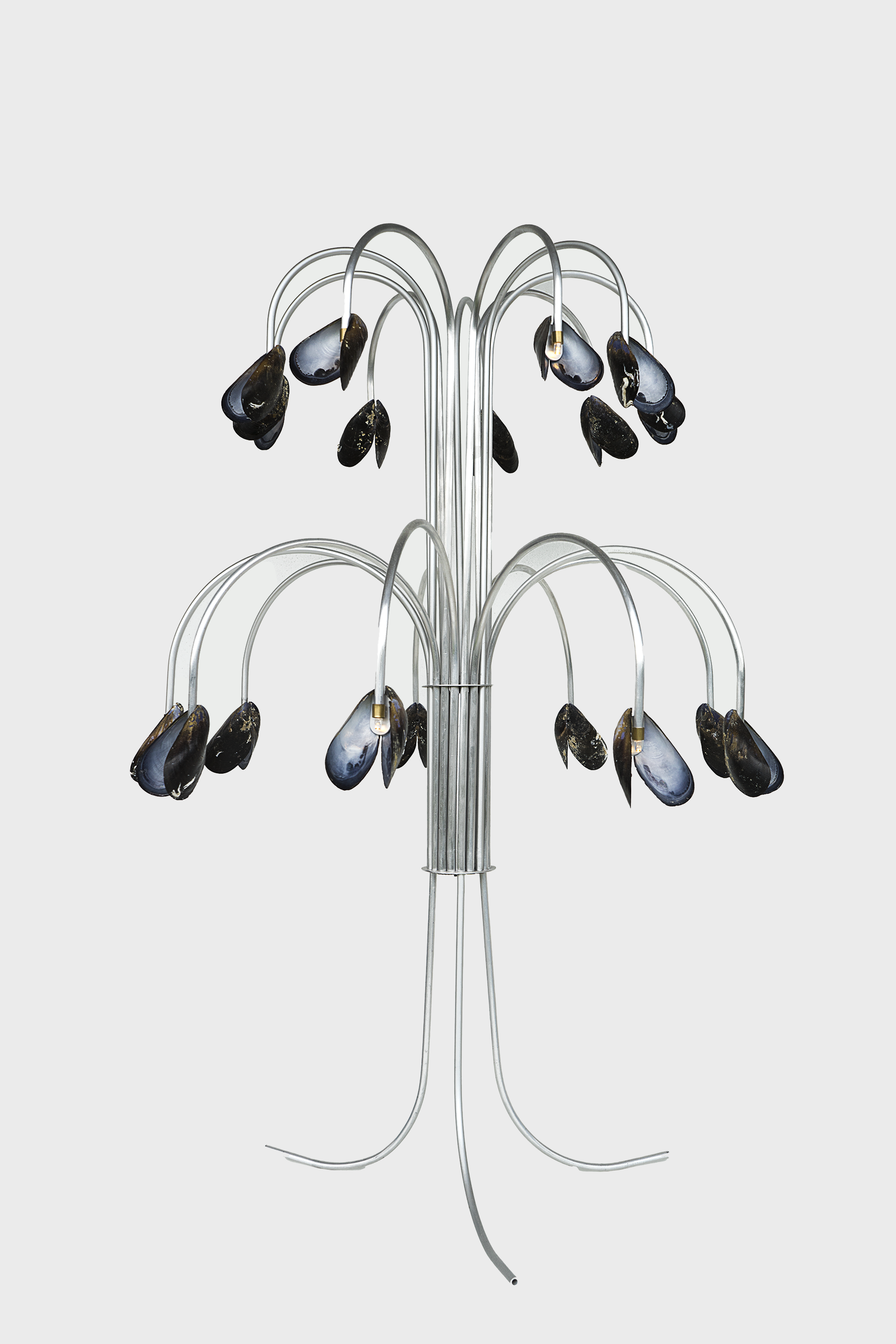Shell light by Touch With Eyes / ALCOVA