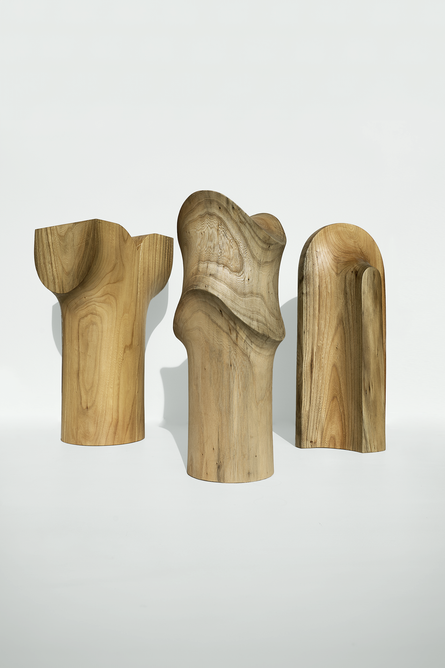 Wood sculptures